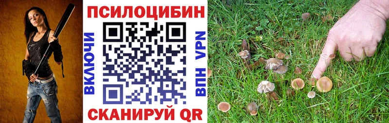 Псилоцибиновые грибы мицелий  где купить наркотик  Сенгилей 